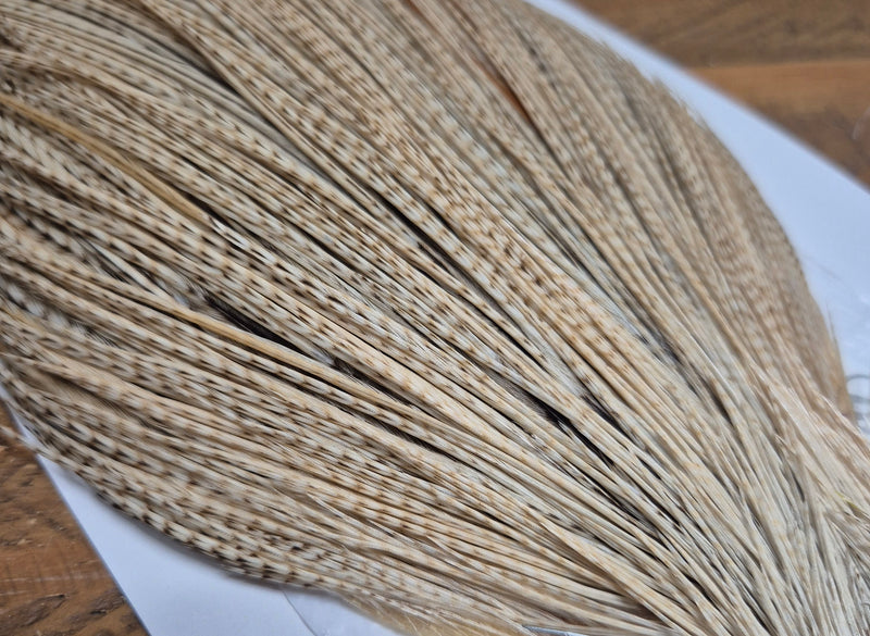 Whiting Farms - Commercial Grade Dry Fly Rooster Cape - Unique Variant