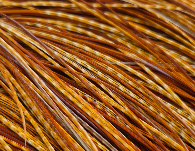Whiting Farms - Pro Grade Midge Saddle - Barred Dark Ginger
