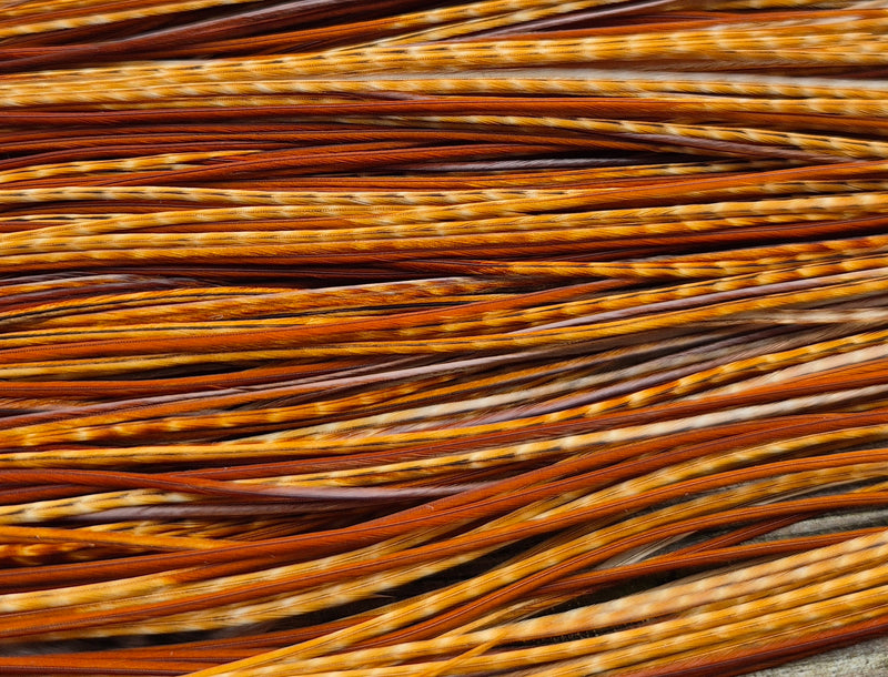 Whiting Farms - Pro Grade Midge Saddle - Barred Dark Ginger