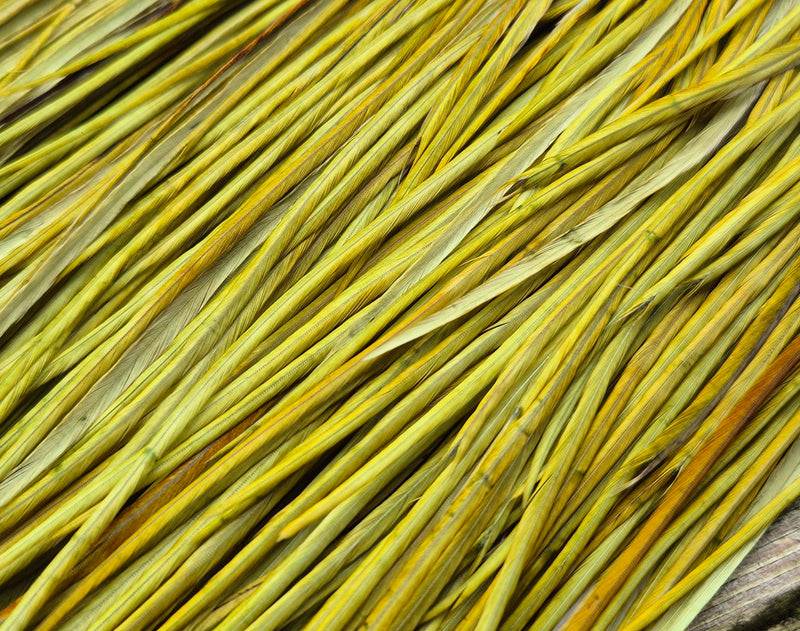 Whiting Farms - Pro Grade Midge Saddle - White Dyed Olive