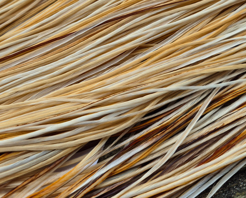 Whiting Farms - Commercial Grade Dry Fly Saddle - Light Ginger