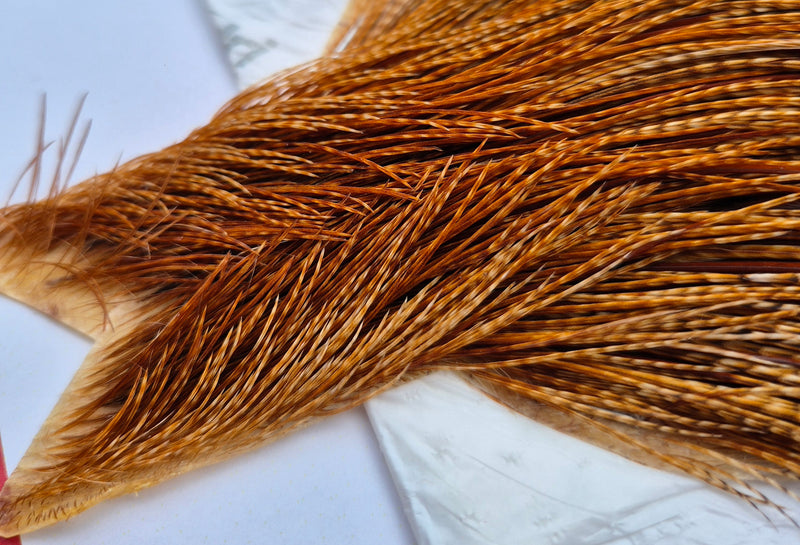 Whiting Farms - Commercial Grade Dry Fly Rooster Cape - Barred Dark Ginger