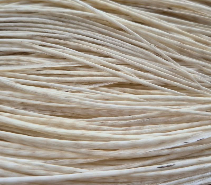 Whiting Farms - Commercial Grade Dry Fly Saddle - White