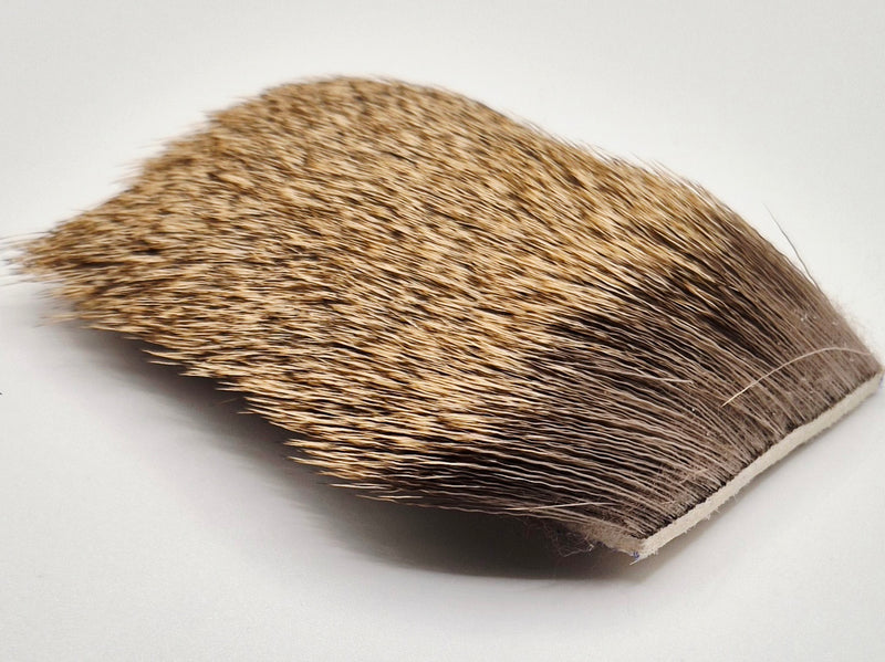 Nature's Spirit - Compara Cow Elk