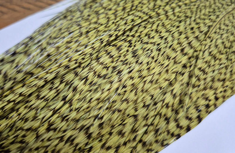 Whiting Farms - Commercial Grade Dry Fly Rooster Cape - Grizzly Dyed Olive