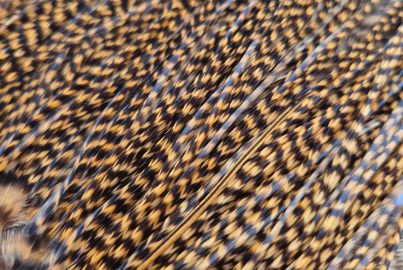 Whiting Farms - Pro Grade Midge Saddle - Grizzly Dyed March Brown