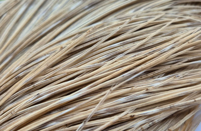 Whiting Farms - Commercial Grade Dry Fly Rooster Cape - Natural Dun