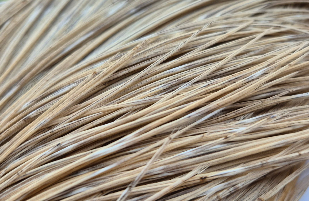 Whiting Farms - Commercial Grade Dry Fly Rooster Cape - Natural Dun