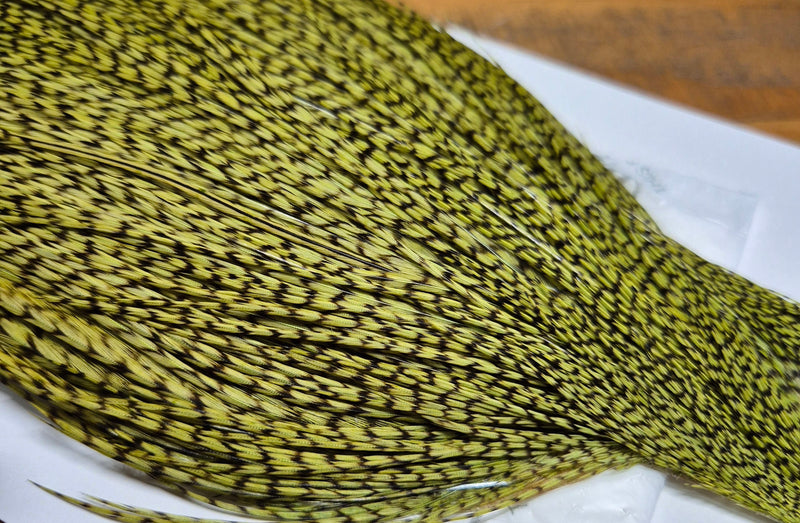 Whiting Farms - Commercial Grade Dry Fly Rooster Cape - Grizzly Dyed Olive