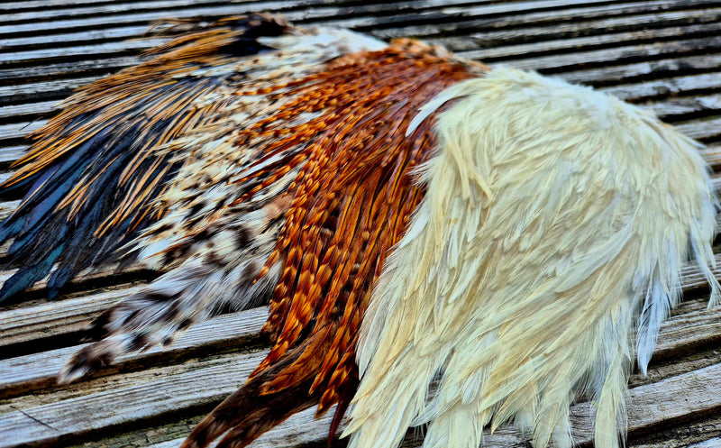 Indian Rooster Saddles