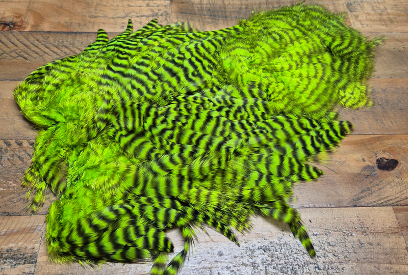 Whiting Farms -  Rooster Soft Hackle/Chickabou