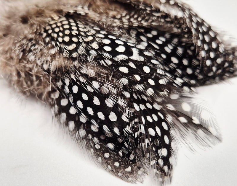 Nature's Spirit - Fish Hunter Large Dot Guinea Fowl