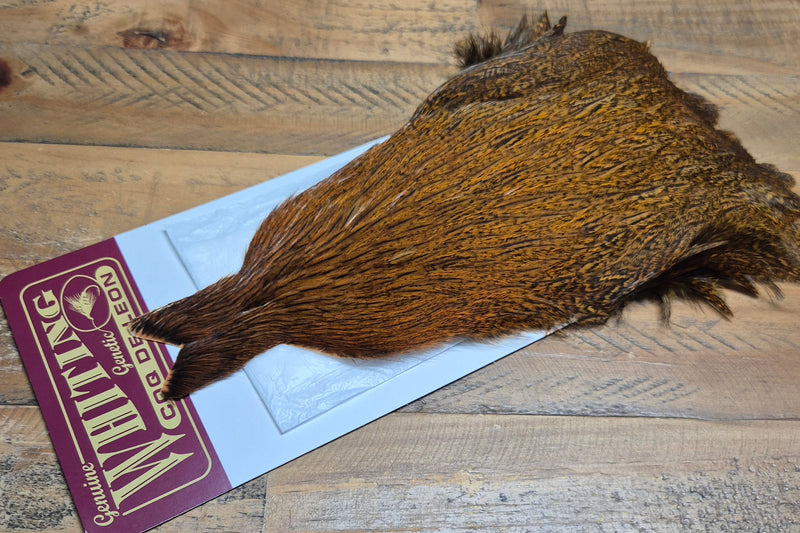 Whiting Farms - Coq de Leon Hen Capes