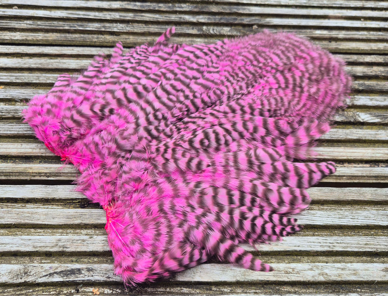 Whiting Farms -  Rooster Soft Hackle/Chickabou