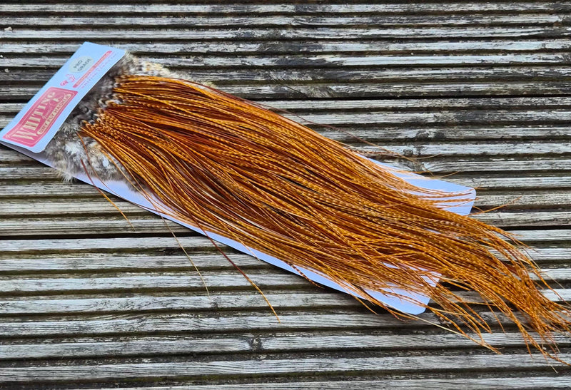 Whiting Farms - Pro Grade Midge Saddle - Barred Dark Ginger