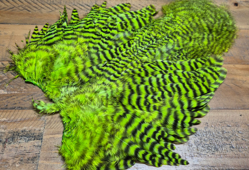 Whiting Farms -  Rooster Soft Hackle/Chickabou