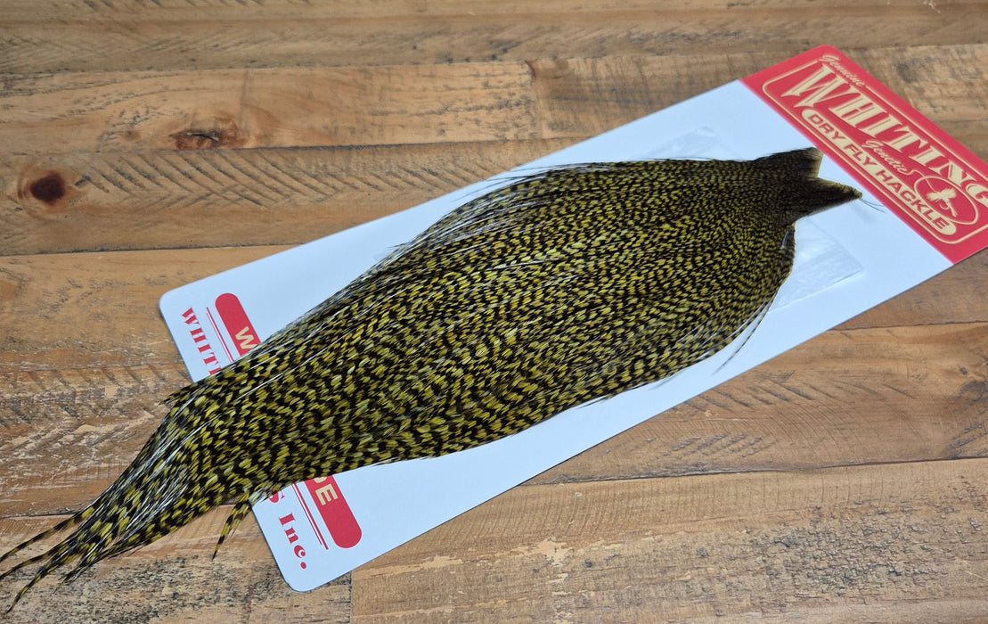 Whiting Farms - Commercial Grade Dry Fly Rooster Cape - Grizzly Dyed Dark Olive