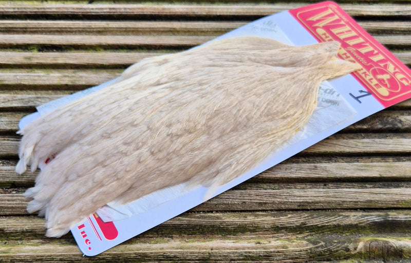 Whiting Farms - Hen Cape