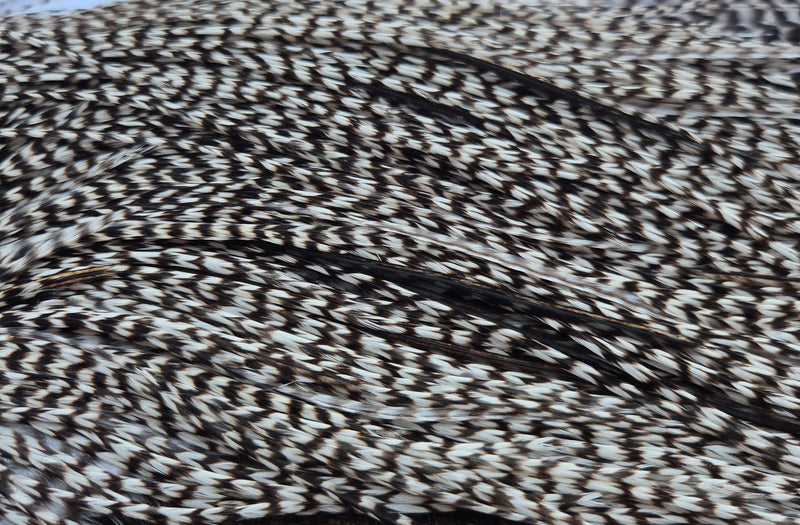 Whiting Farms - Commercial Grade Dry Fly Saddle - Grizzly