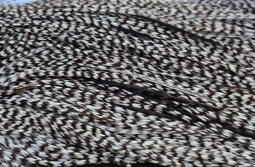 Whiting Farms - Commercial Grade Dry Fly Saddle - Grizzly