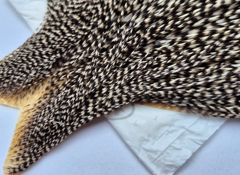 Whiting Farms - Commercial Grade Dry Fly Rooster Cape - Grizzly