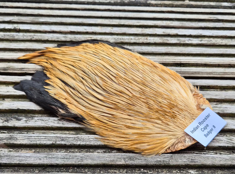 Indian Rooster Cape