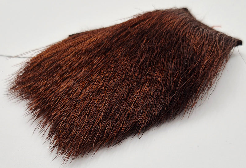 Nature's Spirit - Bull Elk