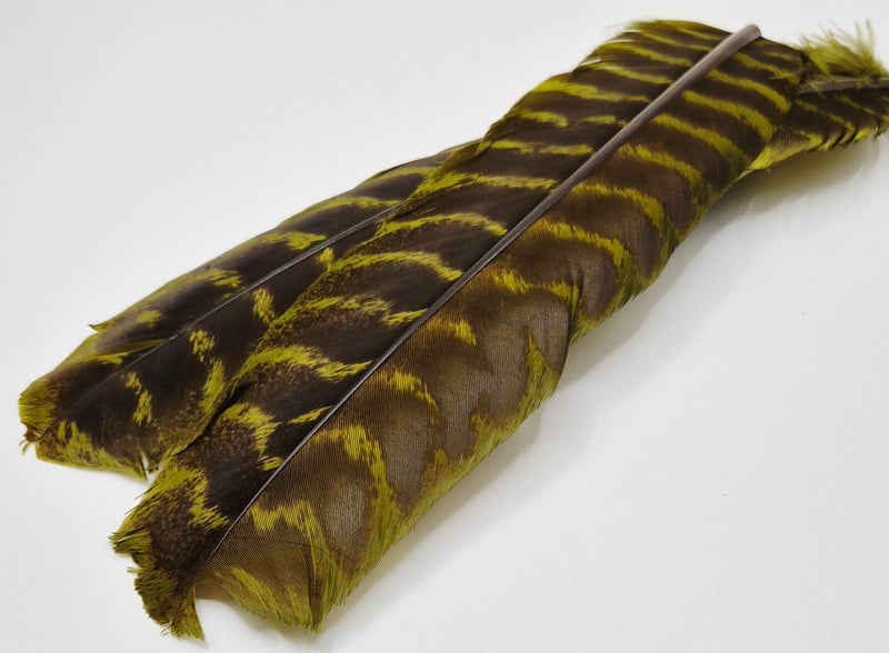 Nature's Spirit - Ozark Barred Turkey Quills