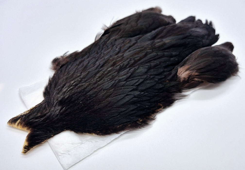 Whiting Farms 4Bs Hen Cape