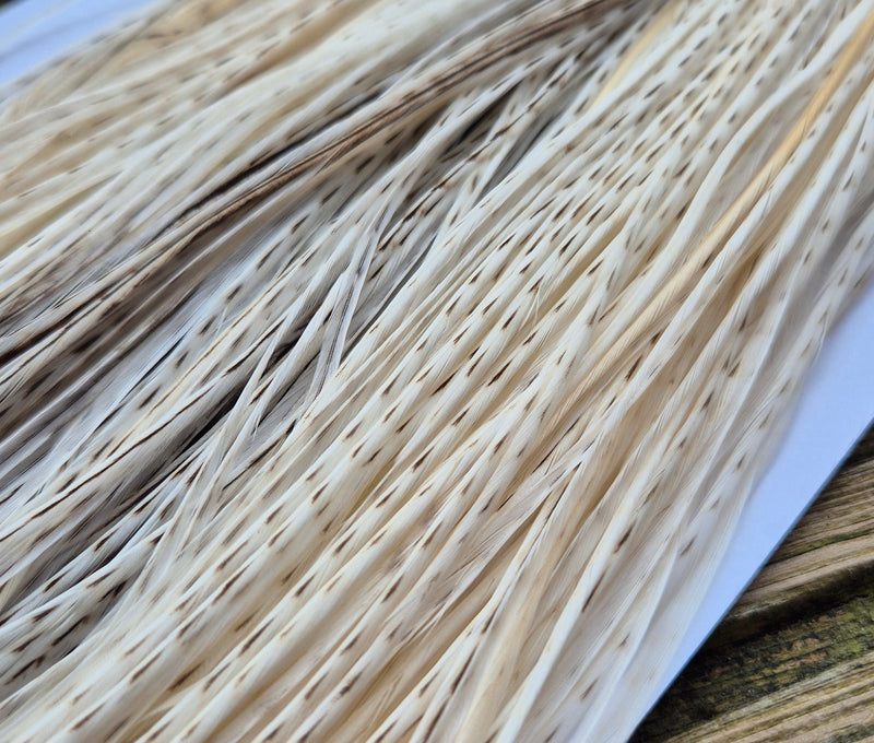 Whiting Farms - Commercial Grade Dry Fly Saddle - Unique Variant