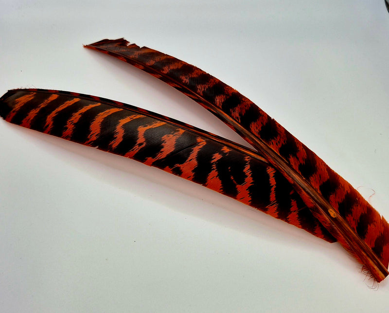 Nature's Spirit Wild Turkey Barred Biot Quills