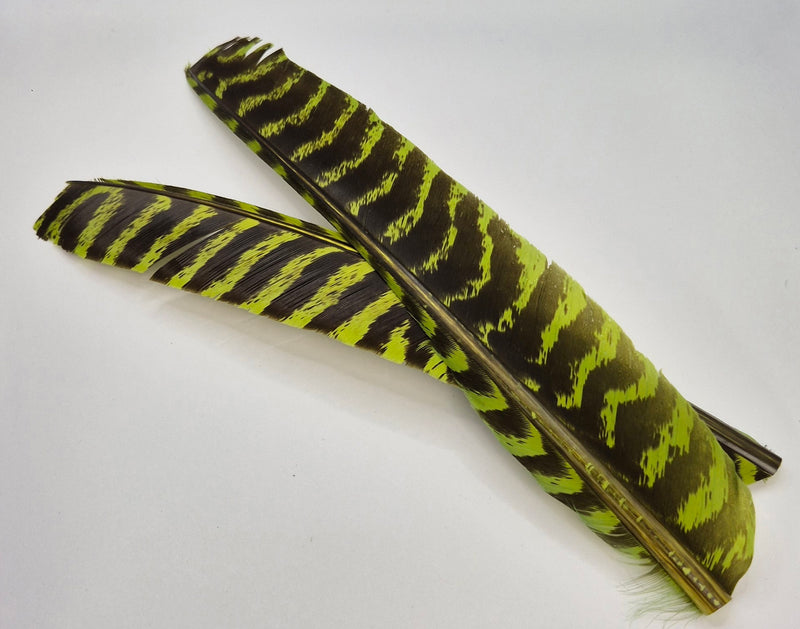 Nature's Spirit Wild Turkey Barred Biot Quills