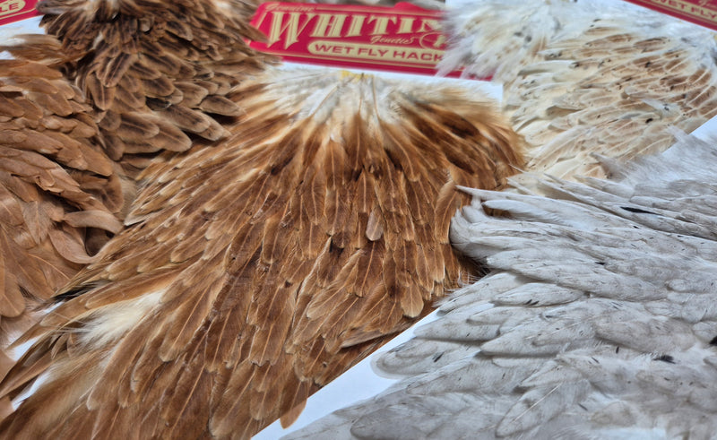 Whiting Farms - Hen Saddle