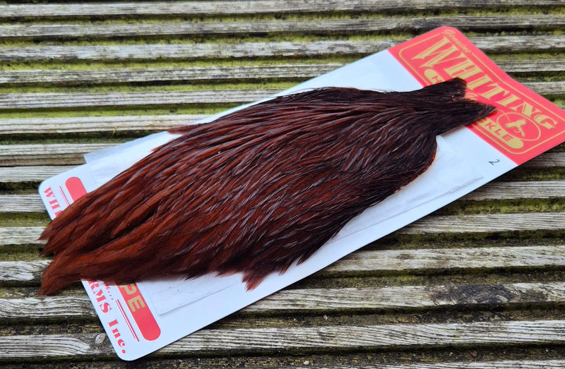 Whiting Farms - Hen Cape