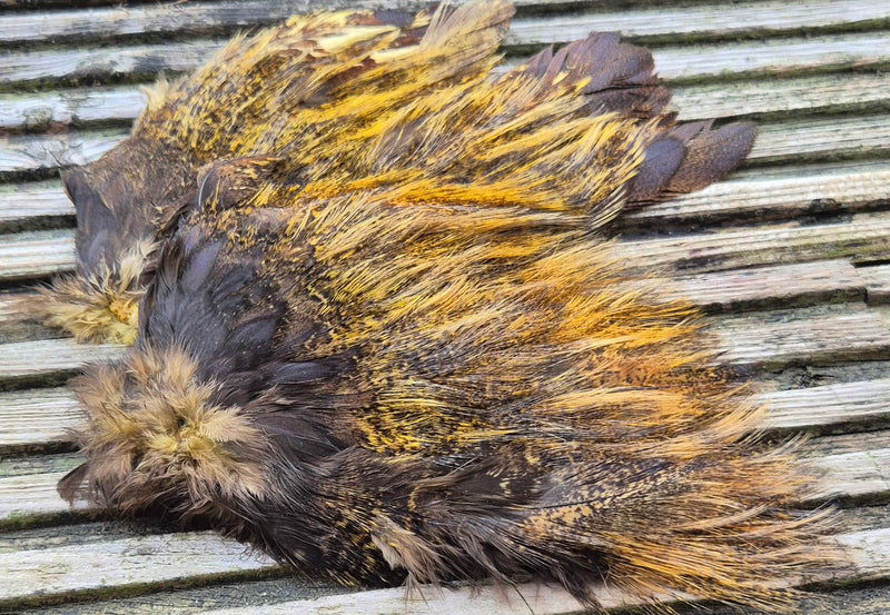 Whiting Farms - Coq de Leon Mayfly Tailing Pack