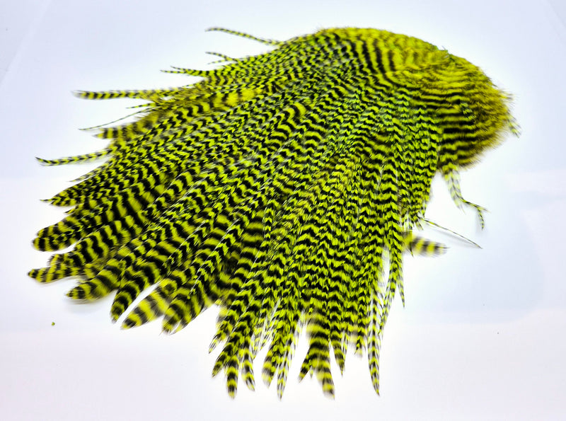 Whiting Farms 4B Rooster Saddle