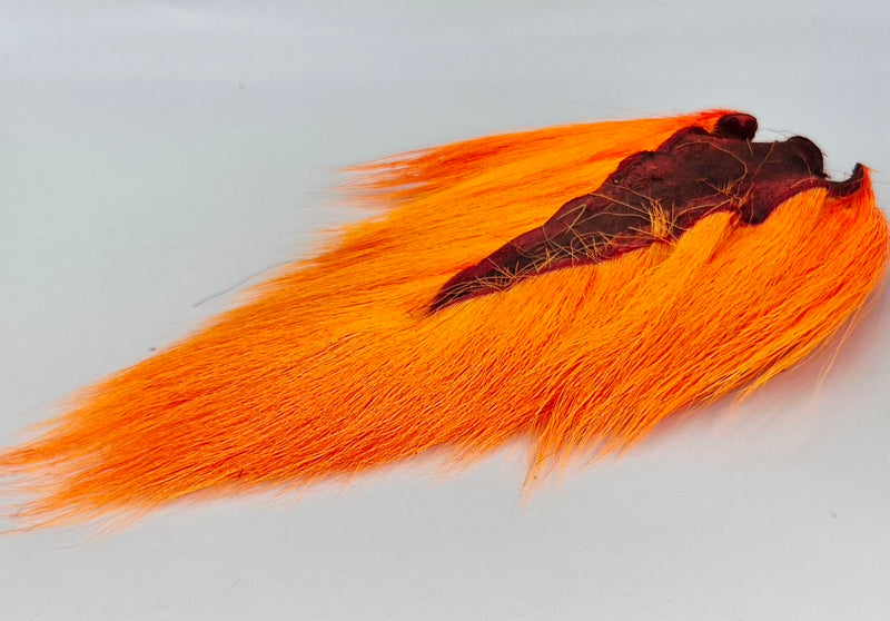 Veniard Doe Tails