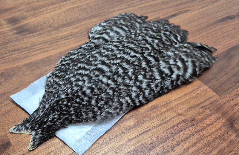 Whiting Farms 4Bs Hen Cape