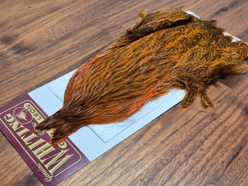 Whiting Farms - Coq de Leon Hen Capes