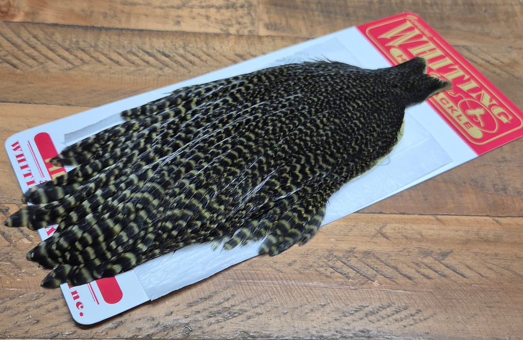 Whiting Farms - Hen Cape
