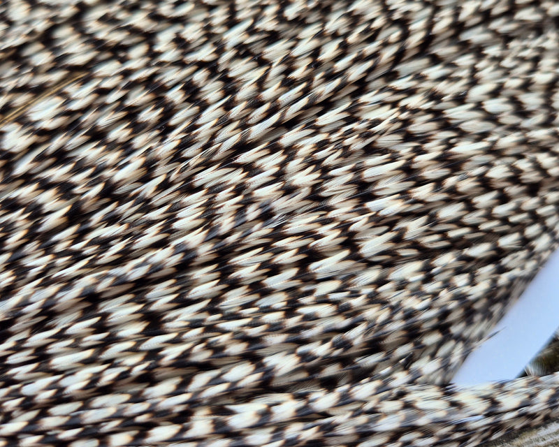 Whiting Farms - Commercial Grade Dry Fly Rooster Cape - Grizzly