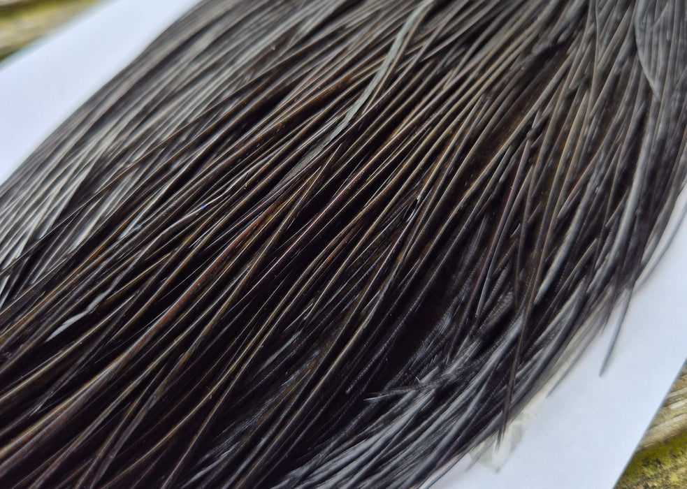 Whiting Farms - Commercial Grade Dry Fly Rooster Cape - Black