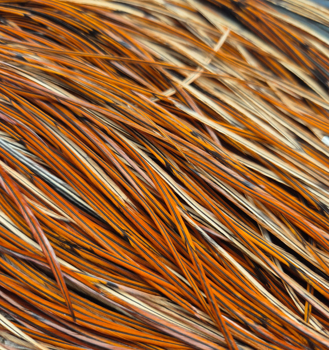 Whiting Farms - Pro Grade Midge Saddle - Furnace