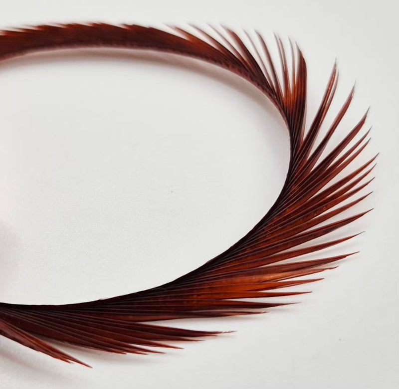 Electric Goose Biots