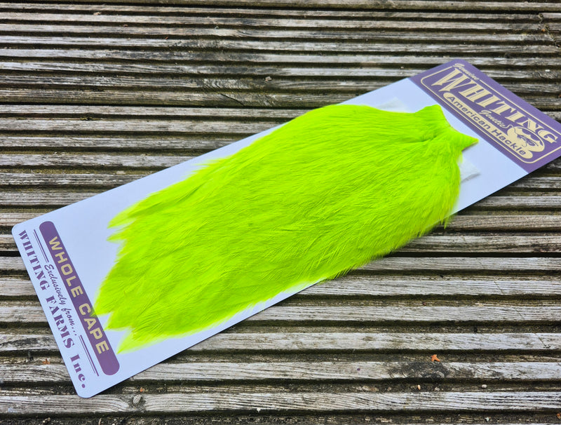 Whiting Farms - American Rooster Cape