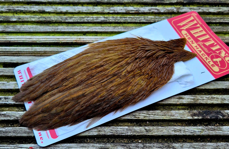 Whiting Farms - Hen Cape