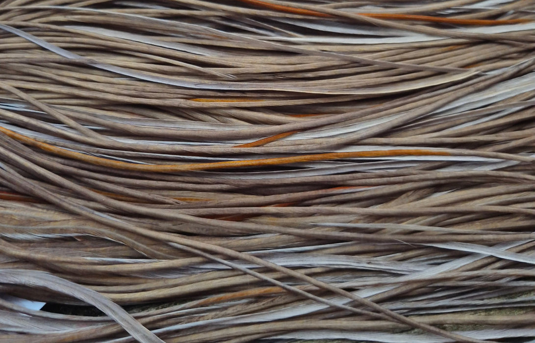 Whiting Farms - Commercial Grade Dry Fly Saddle - White Dyed Dark Dun