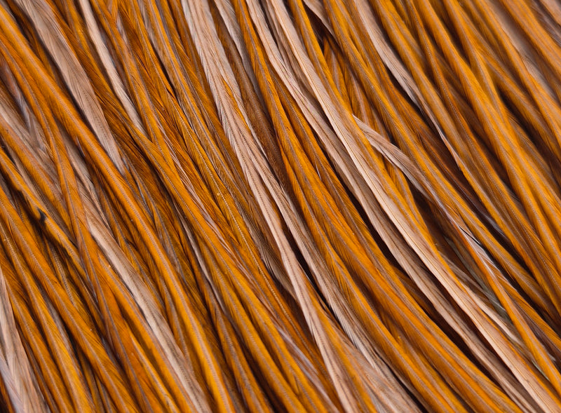 Whiting Farms - Commercial Grade Dry Fly Saddle - White Dyed Brown