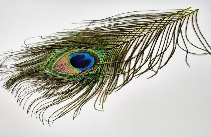 Veniard Peacock Eye Tops