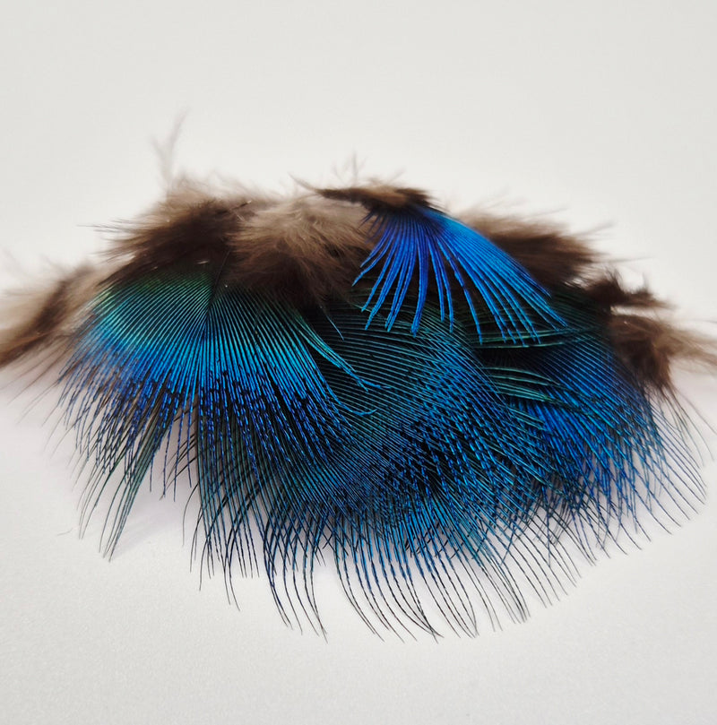 Veniard Blue Peacock Neck Feather